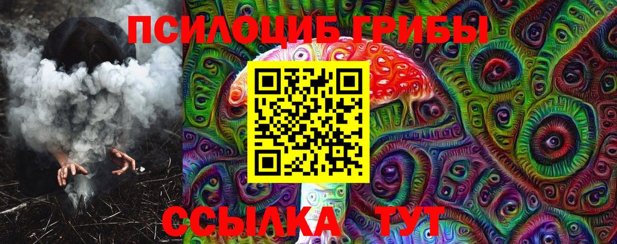 Псилоцибиновые грибы MAGIC MUSHROOMS  Псилоцибиновые грибы Psilocybe  купить наркотики сайты  Советск  Вход с VPN 